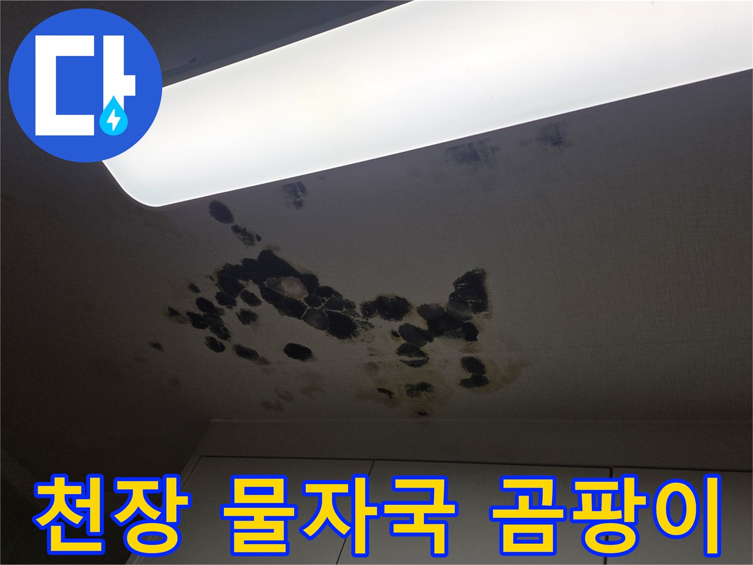 누수로 인한 천장 변색 - 곰팡이가 번진 천장 마감재 상태