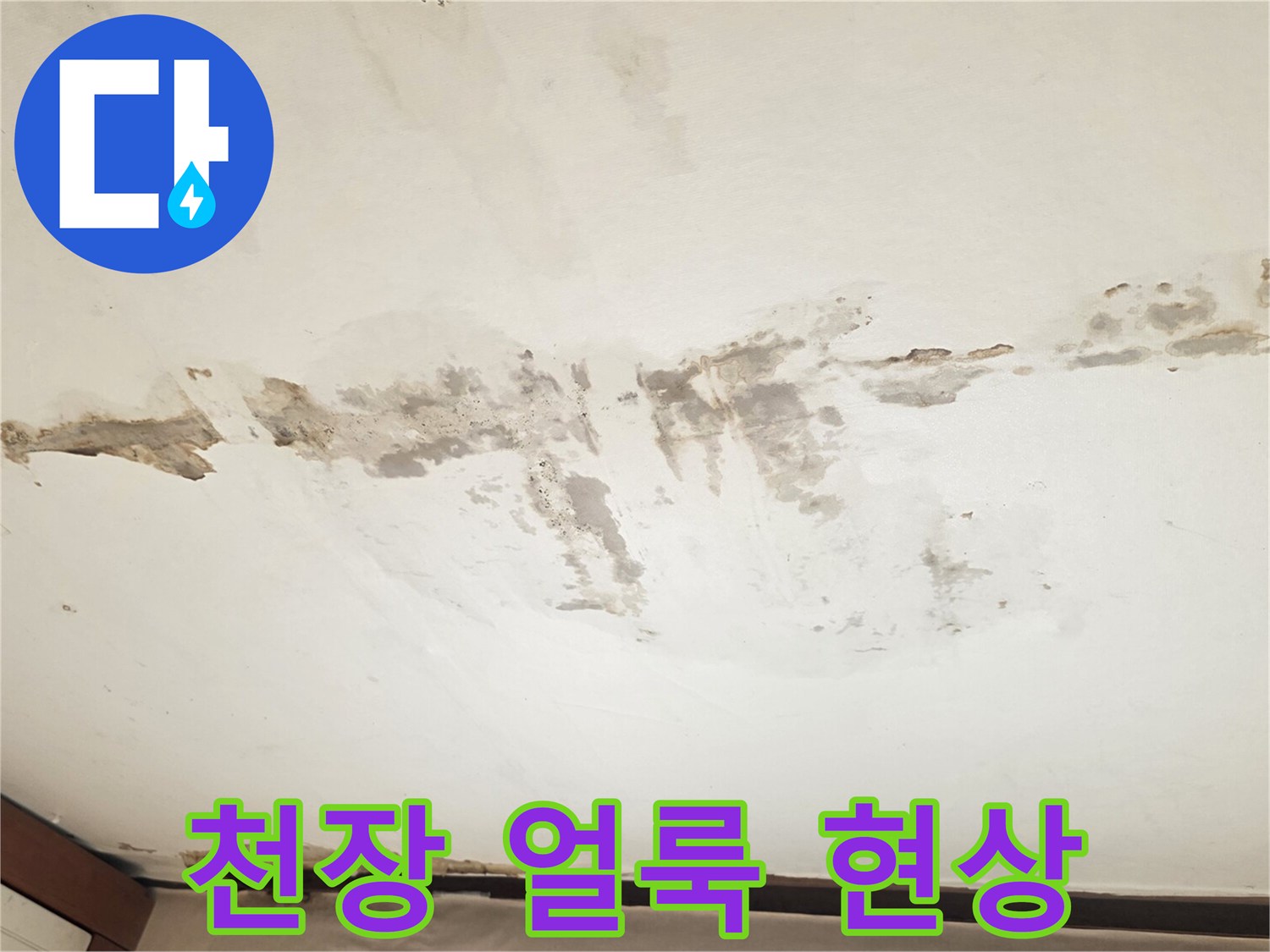 동작구 아파트 천장 부위의 넓은 물샘 흔적과 얼룩 상태