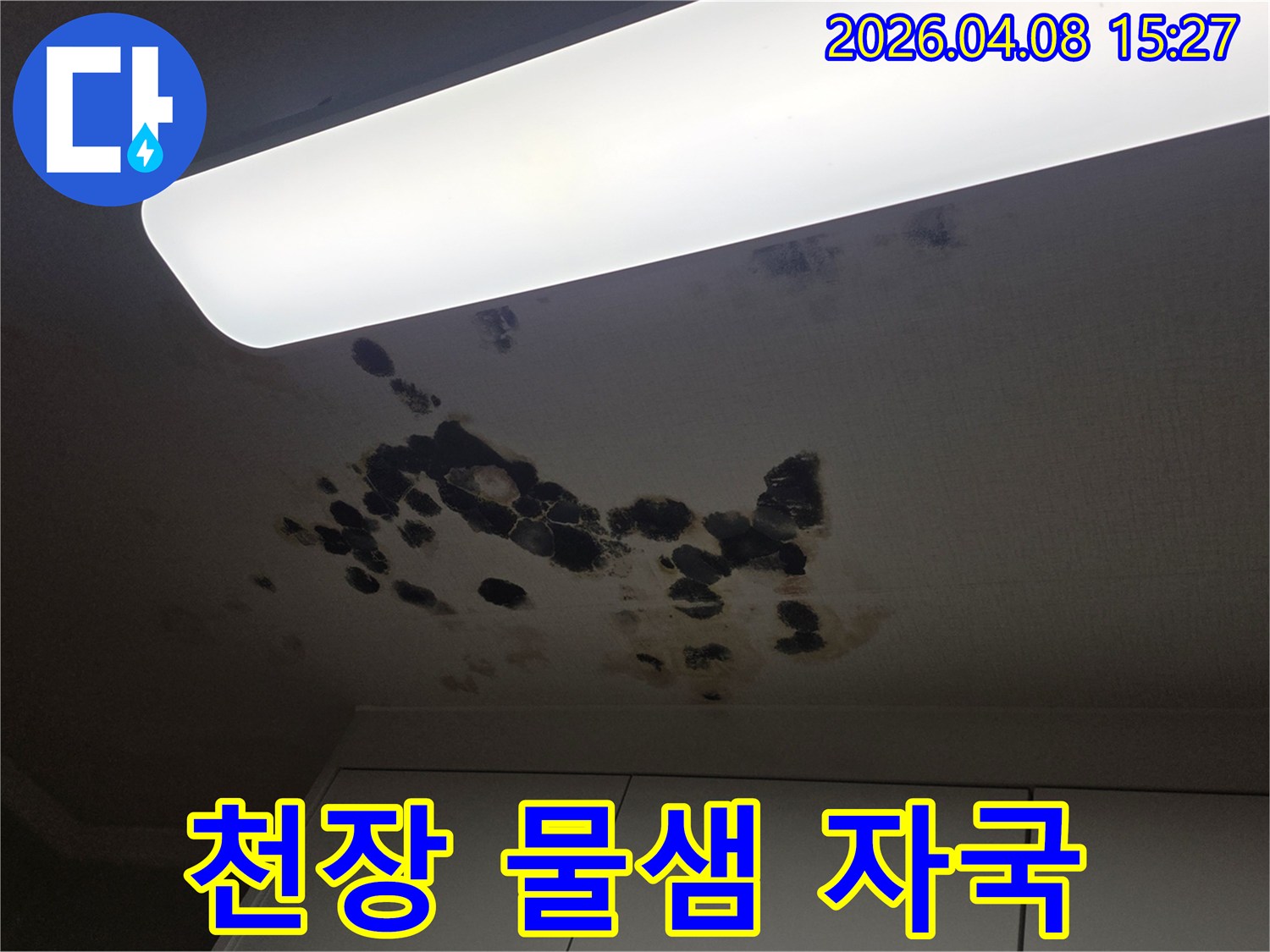빌라 천장에 물이 새어-검은 물샘 자국과-곰팡이가 심하게 번진 모습
