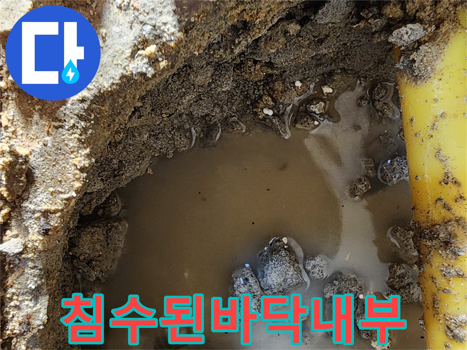 노란색 관 주변으로 고여 있는 탁한 물과 젖은 토양