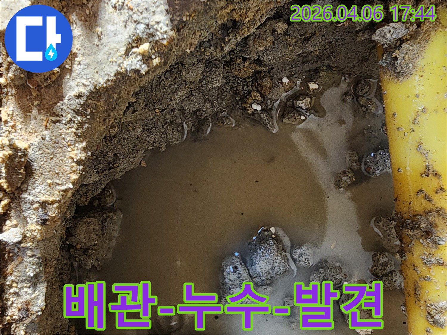 누수-전문가가-발견한-배관-파손으로-인한-물고임-현장입니다