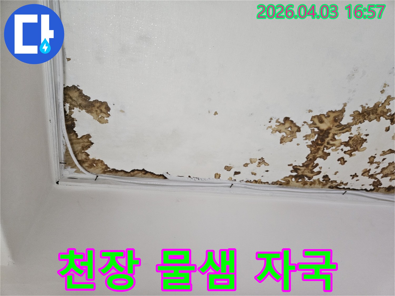 천장 표면에 얼룩덜룩하게 번진 물-자국과-함께-마감재가-손상된 모습의 누수-피해 현장