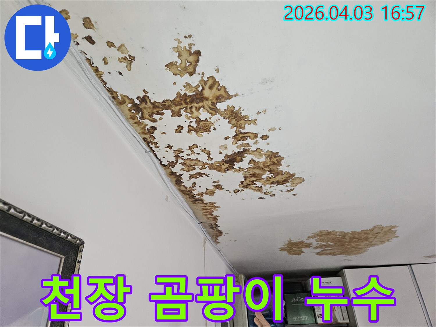 천장에 발생한 곰팡이와 누수 흔적이 혼재된 사진으로-장기간의 물샘으로 인한 복합적인 피해를 나타냅니다