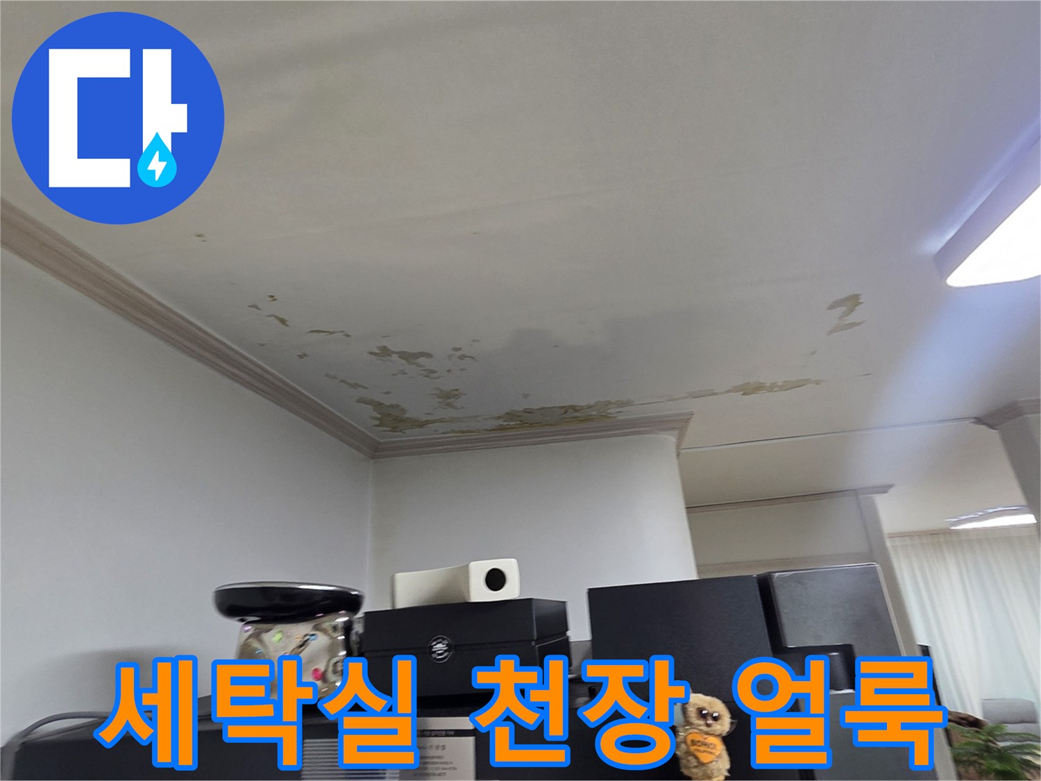 도봉구 아파트 세탁실 천장의 페인트 들뜸과 물자국 현상