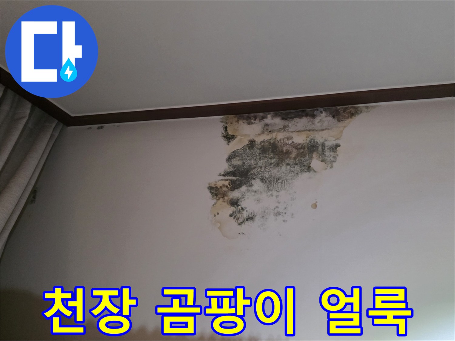 물샘으로 인해 변색된 천장 벽지와 곰팡이 흔적