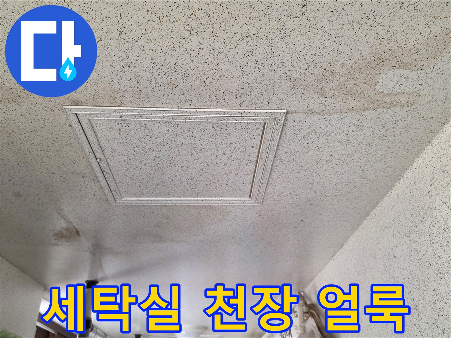 성남 중원구 세탁실 천장 마감재에 나타난 넓은 누수 흔적과 얼룩 상태