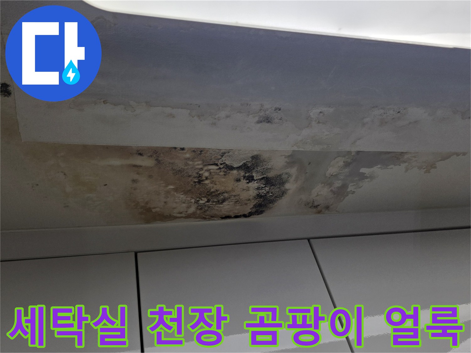 성남 중원구 세탁실 천장 부근의 광범위한 누수 흔적과 곰팡이 상태