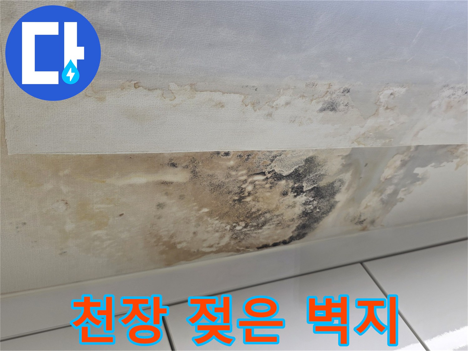 습기로 인해 변색되고 곰팡이가 피어오른 천장 마감재 부위