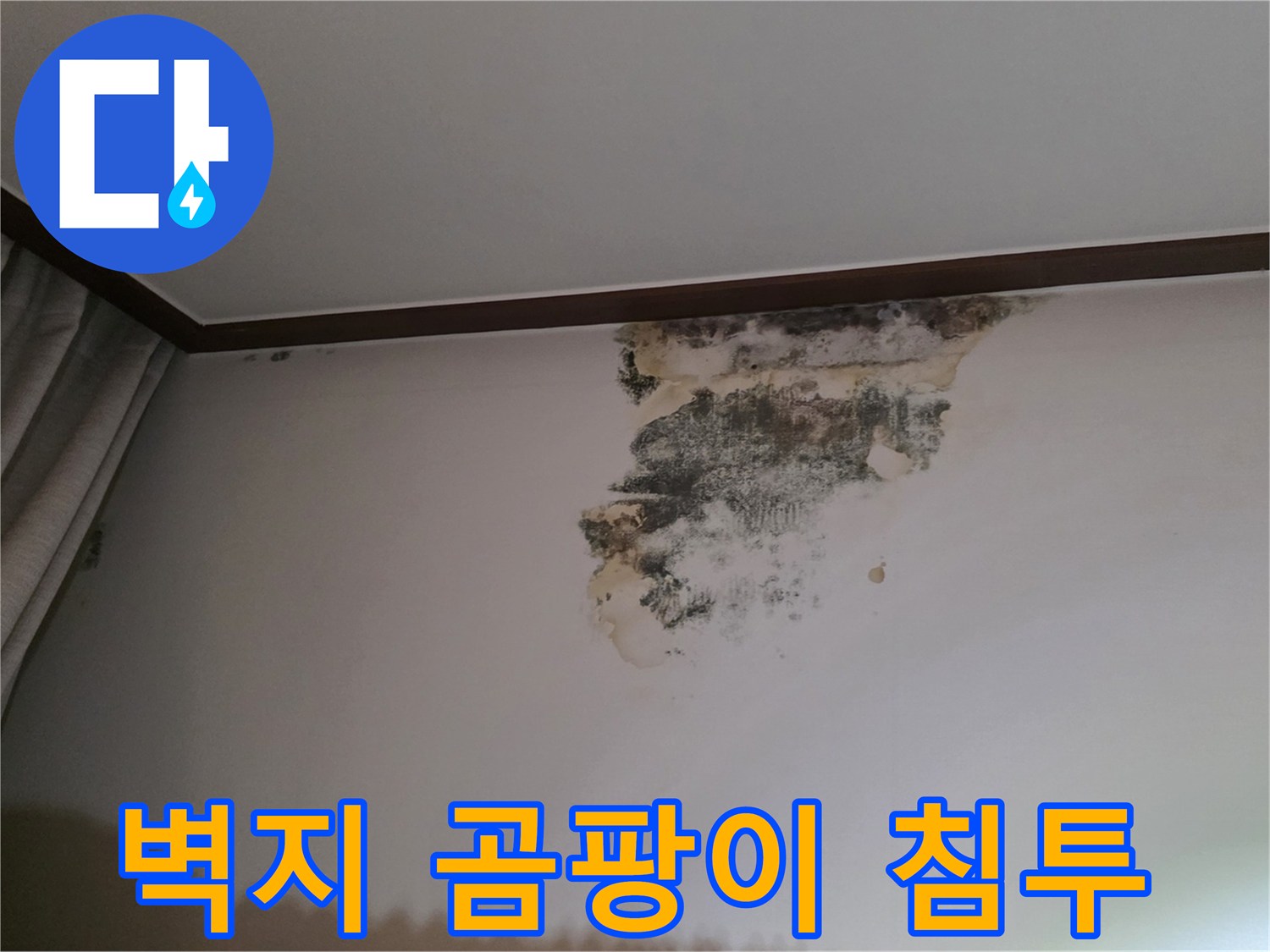 천장 몰딩 아래로 번진 심각한 수준의 곰팡이와 습기 흔적