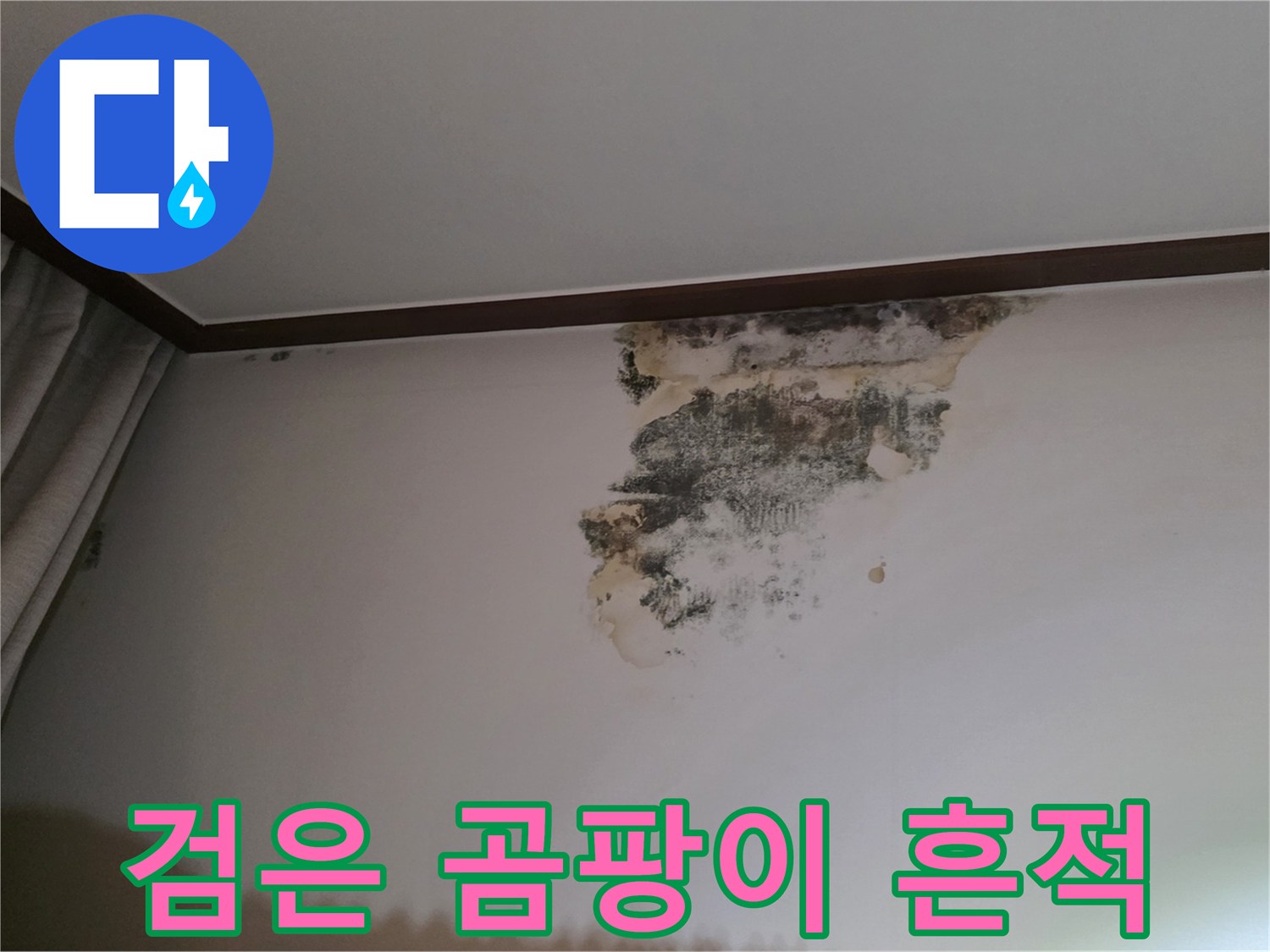 천장 몰딩 아래로 번진 심한 물자국과 곰팡이 발생 현상