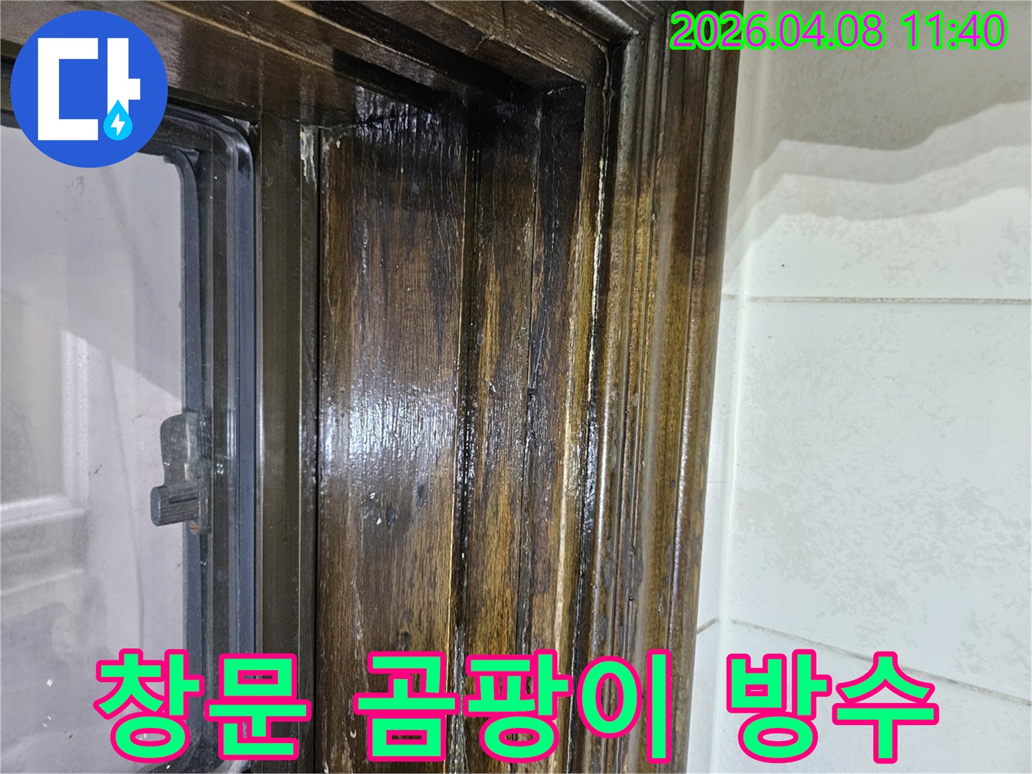 창문-주변-목재에-발생한-누수-흔적과-검은-곰팡이를-제거하고-방수-처리하는-과정