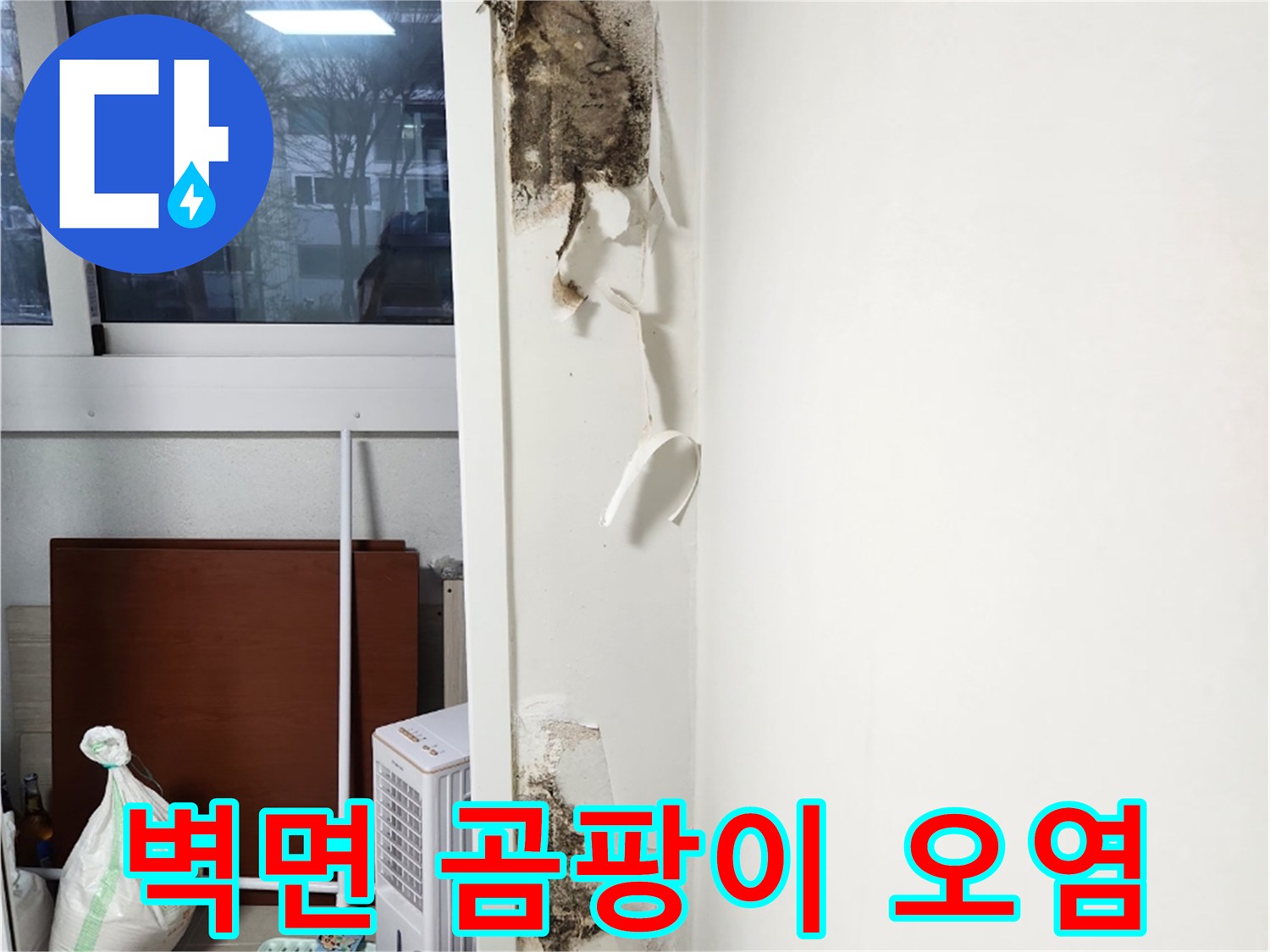 강서구 아파트 거실 벽면에 발생한 심각한 곰팡이와 들뜬 벽지 상태