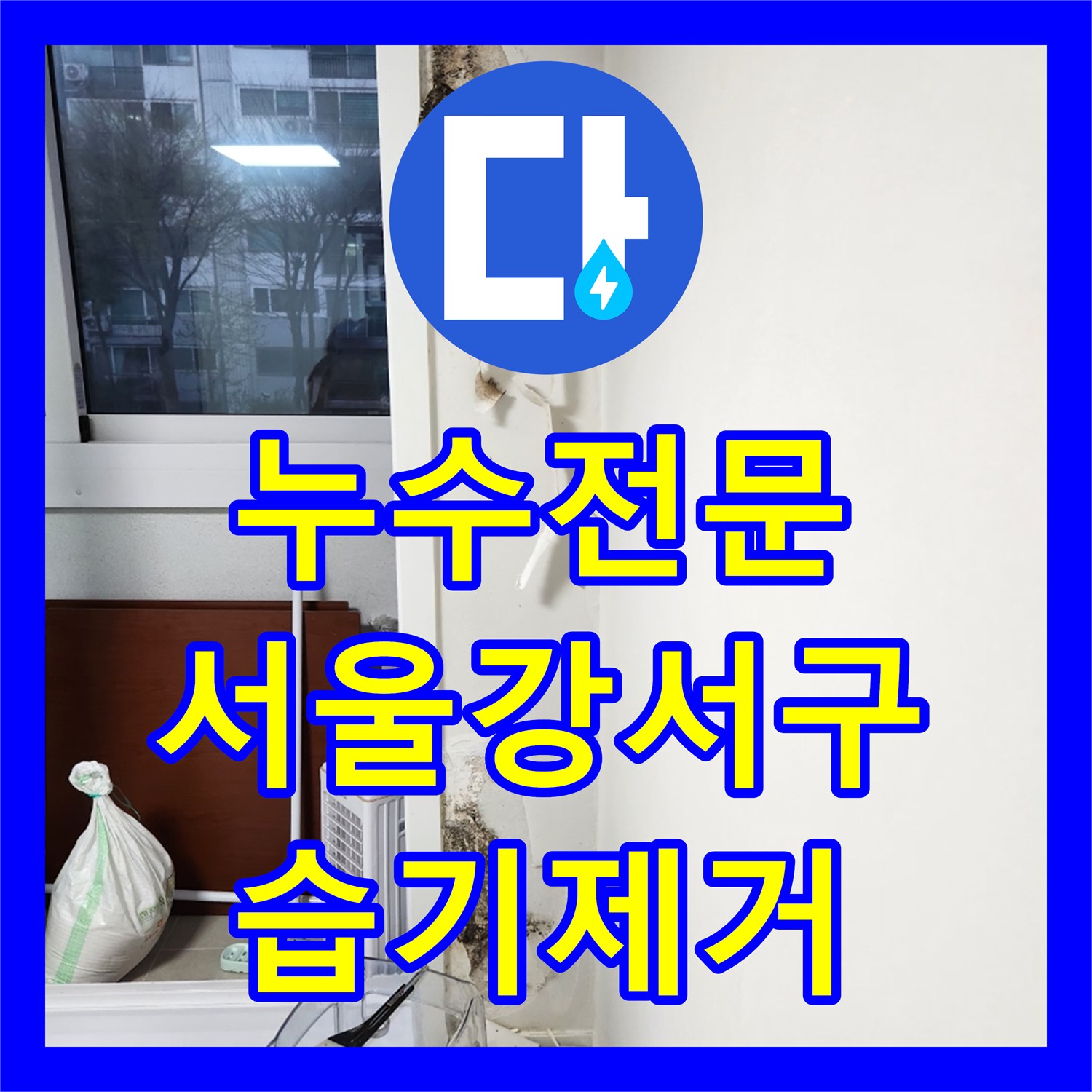 누수전문 우수관 주변 방수층 파손으로 인한 거실 습기 해결 사례 서울 강서구