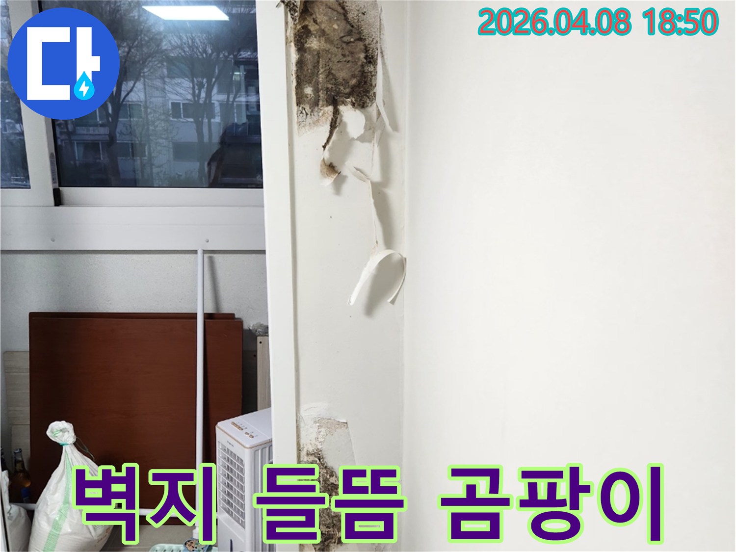 오랜-기간-방치된-창문-누수로-인해-벽지가-들뜨고-곰팡이가-심하게-번식한-주거-공간의-벽면을-촬영한-것입니다
