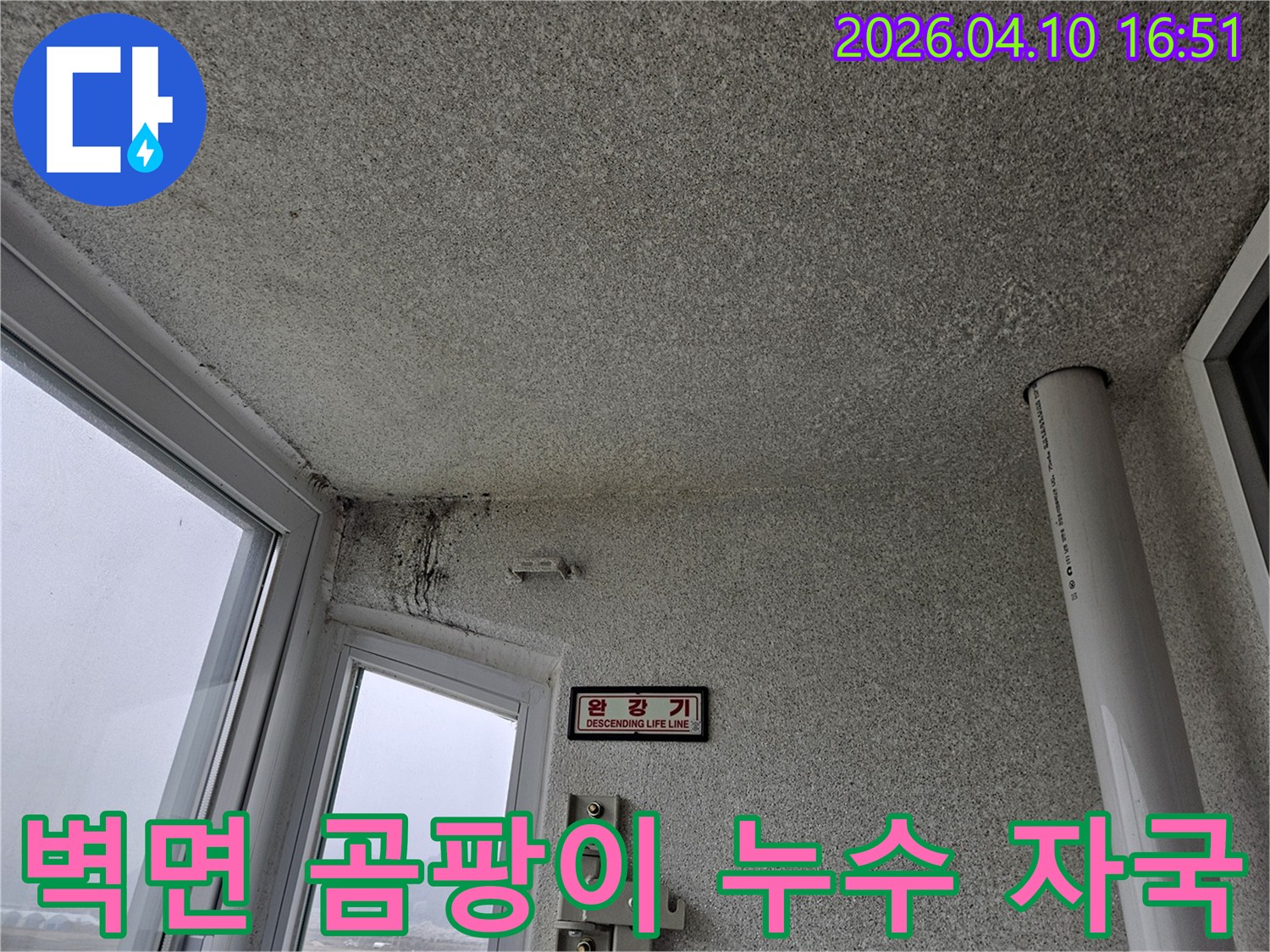 경기-포천시-일동면-빌라에서-발견된-창가-천장-누수-및-벽면-곰팡이-현상