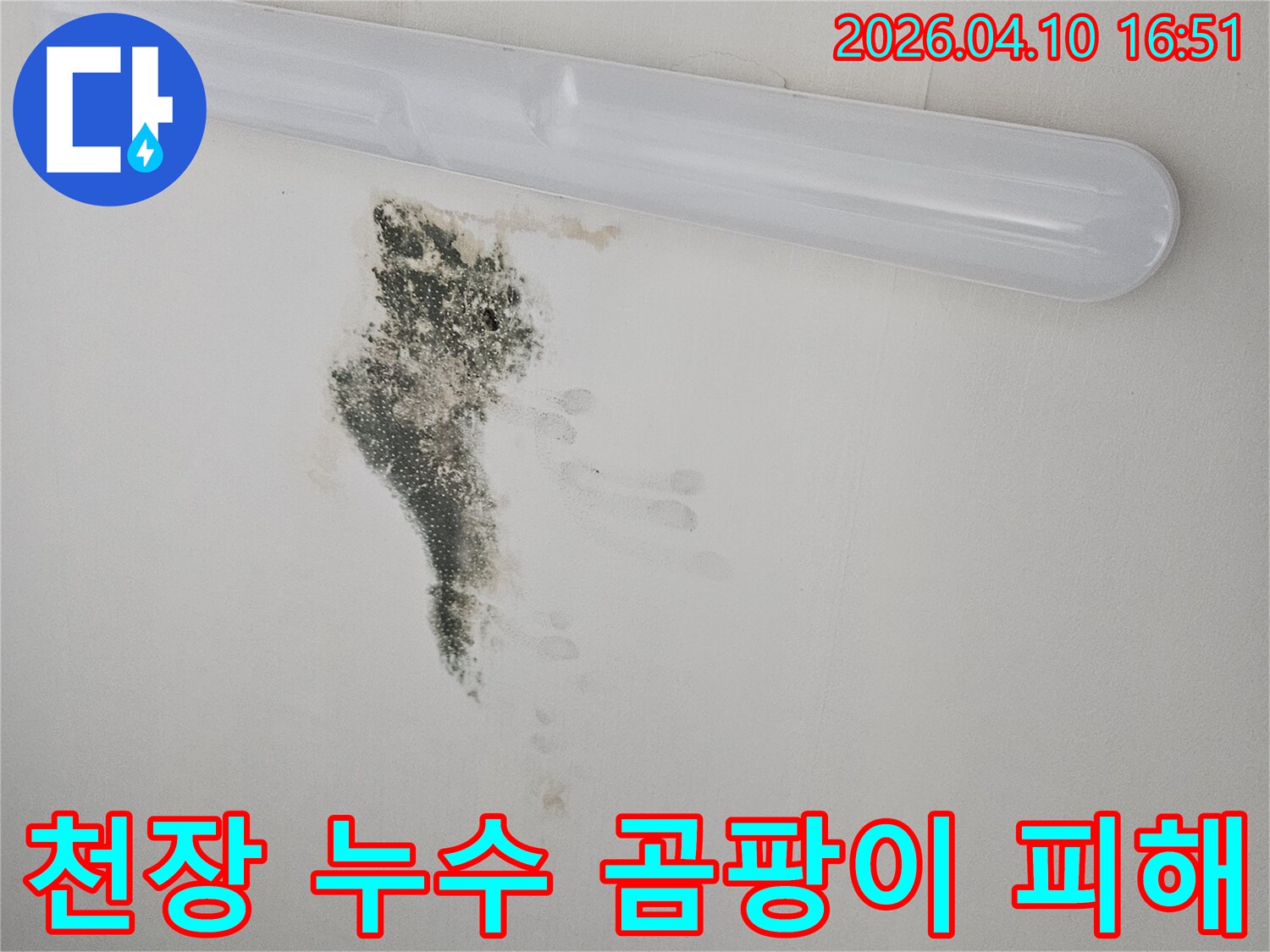천장 형광등 주변으로 번진 누수와 곰팡이 자국을 나타내는 이미지-정확한 누수 지점 파악이 중요합니다