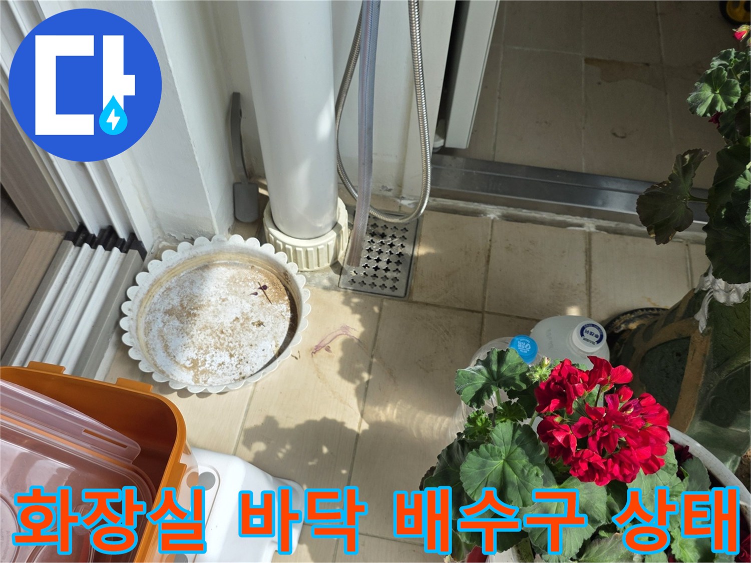 화장실-바닥-배수구-주변-오염-상태-확인