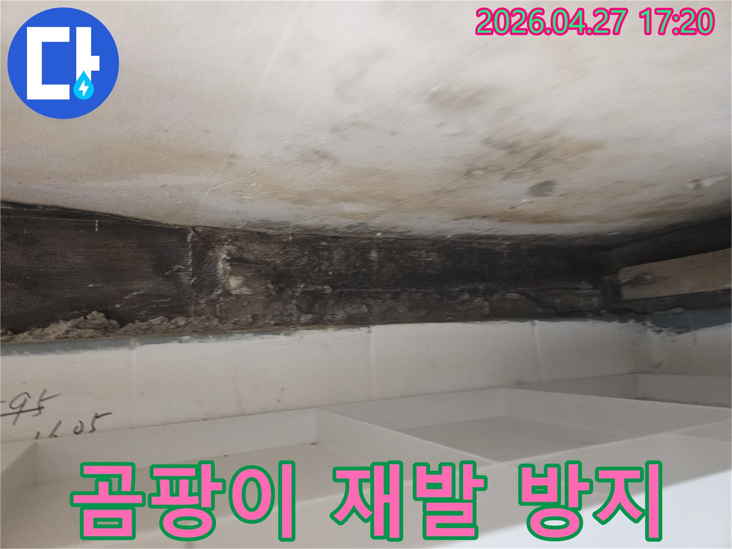 누수로 인해-욕실 천장-벽면에-발생한-곰팡이를-제거하고-향후-재발을-방지하기-위한-전문적인-조치-현장