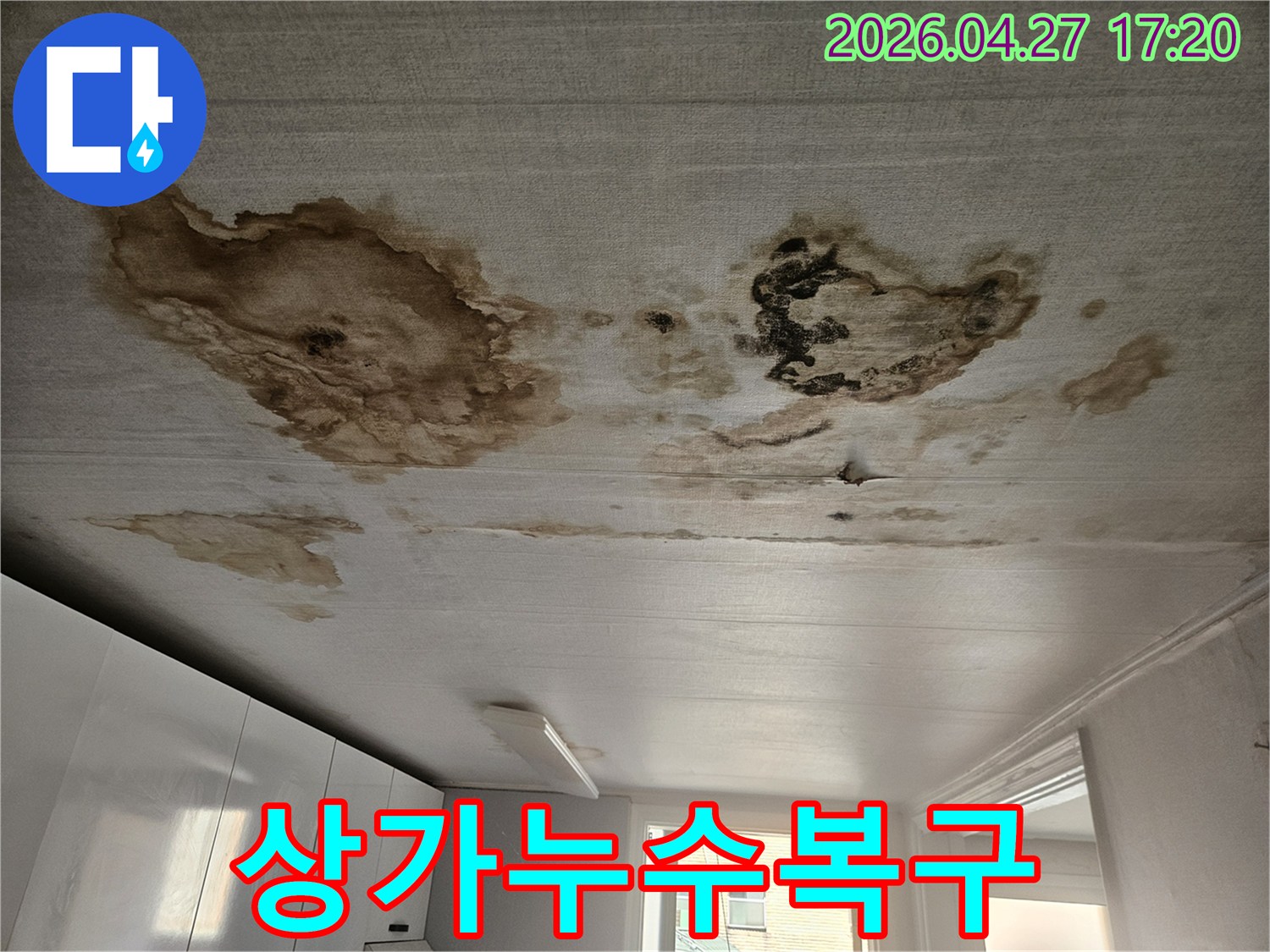 상가 천장에-광범위하게 퍼진 누수 얼룩과-습기로 인한 변색-영업장 피해 복구가-시급한 누수 현장