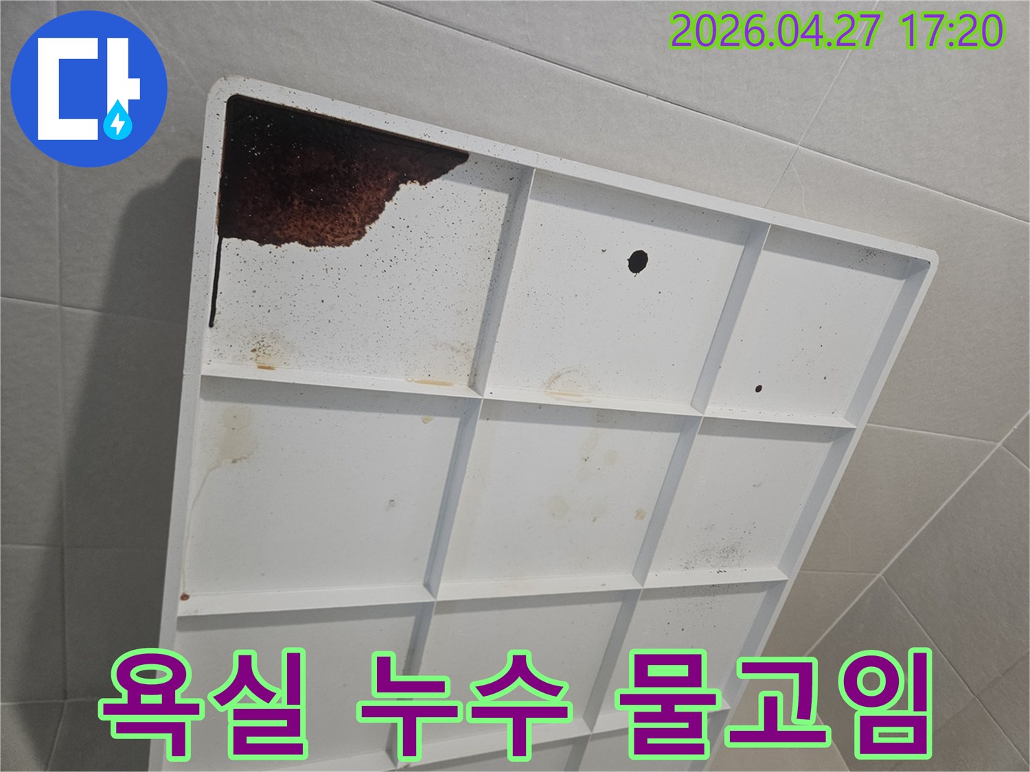 욕실 누수로 인해-배수판에 고인-오염된 물의 모습입니다.