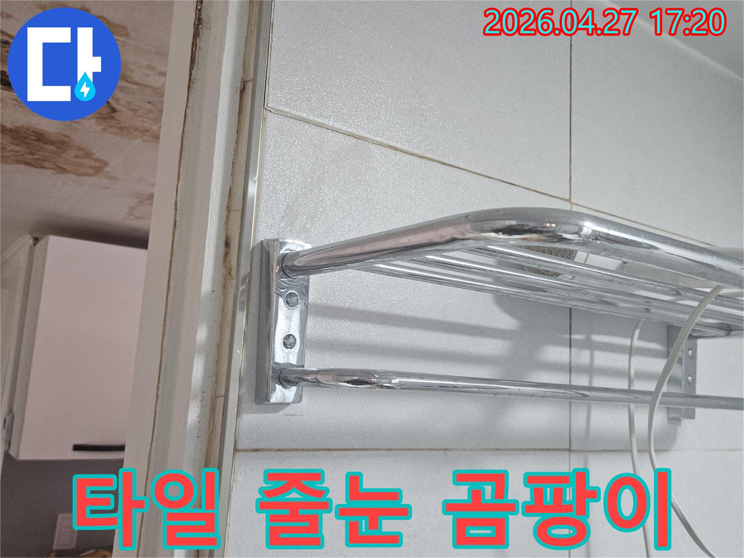 욕실 타일 줄눈과-벽면 경계에-심하게 번식한-검은 곰팡이와-누수 흔적