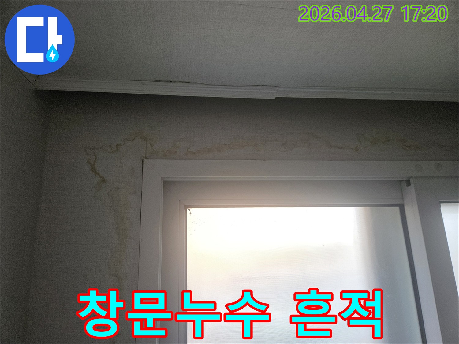 창문 주변 벽지에 물이 새어-얼룩지고 젖은 모습이 보이는-누수 현장 사진입니다.