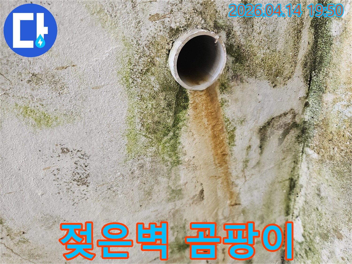 오랜-기간-누수로-인해-벽면에-심한-물자국과-곰팡이가-발생한-현장-사진입니다