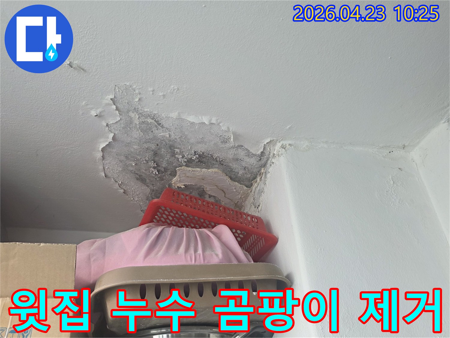 윗집 누수로 인해-천장 벽지가 벗겨지고-검은 곰팡이가 생긴 상태-제거 전