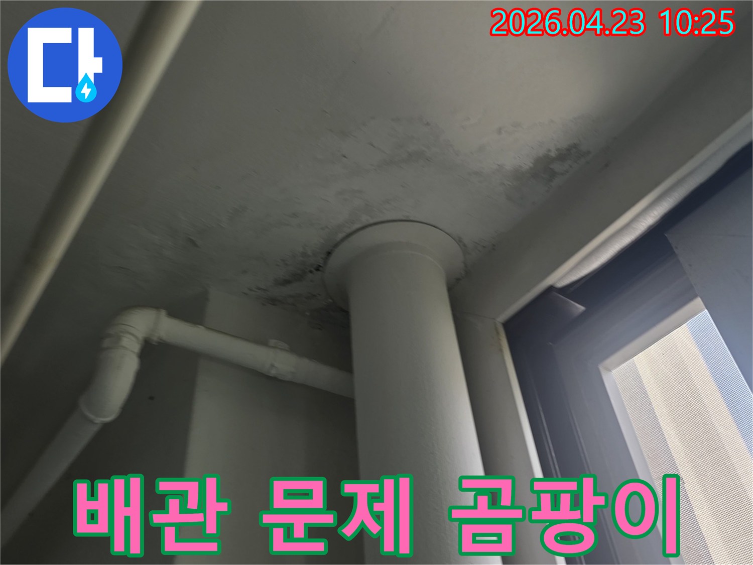 천장 배관에서 발생한 문제로 인한 곰팡이-오염 상태