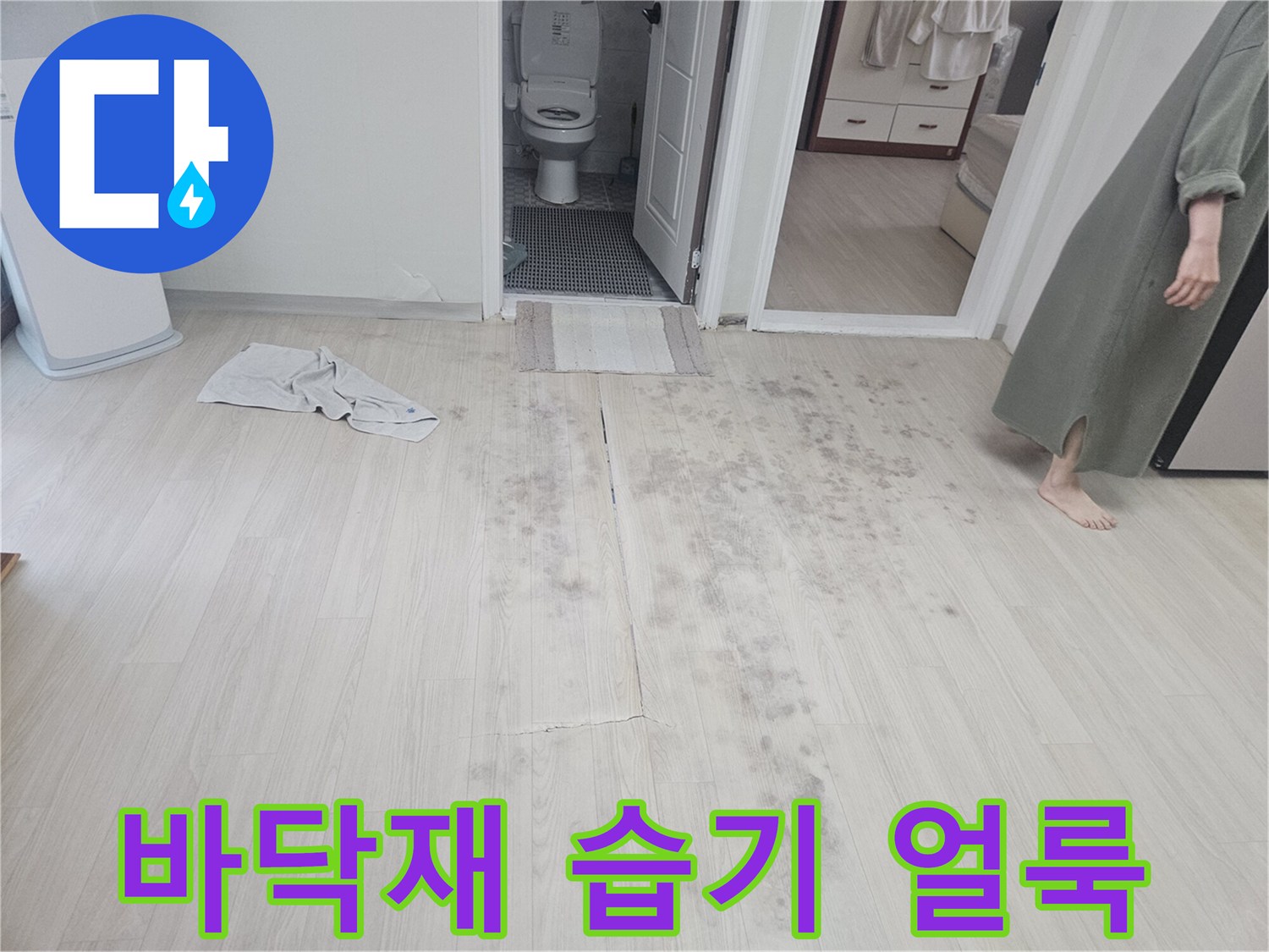 거실 마루 표면에 나타난 어두운 얼룩과 습기 흔적