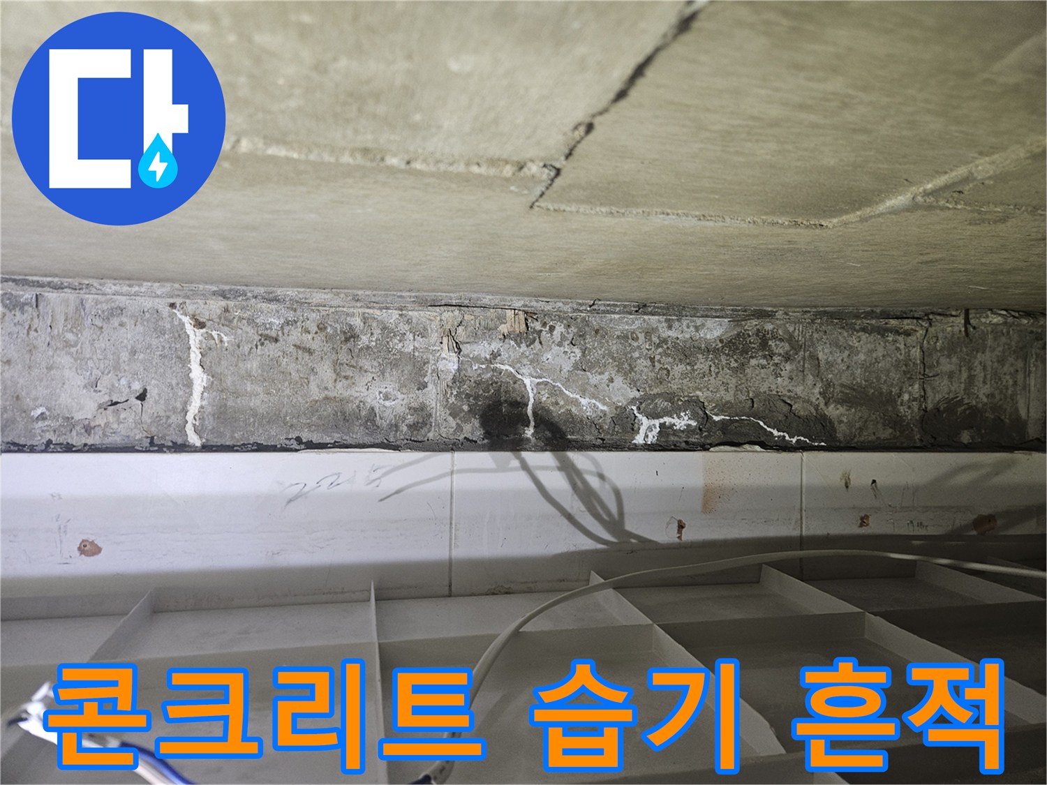 천장-콘크리트-표면의-습기와-균열-발생-상태