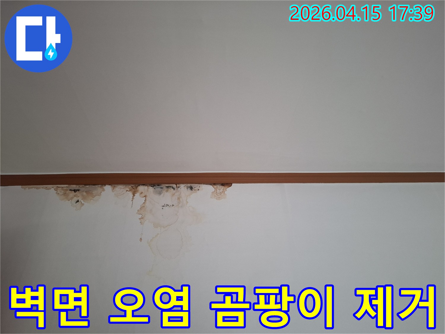 천장과 벽이 만나는 경계선에-누수로-인한-물자국과-곰팡이가-생겨-벽지가-심하게-오염된-모습을-보여주는-사진입니다