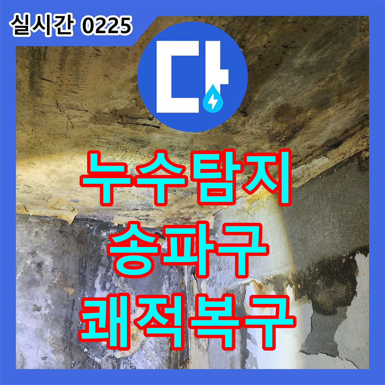 누수탐지전문, 건강까지 위협하는 곰팡이 누수, 깨끗하게 복구하고 예방하는 서울 송파구