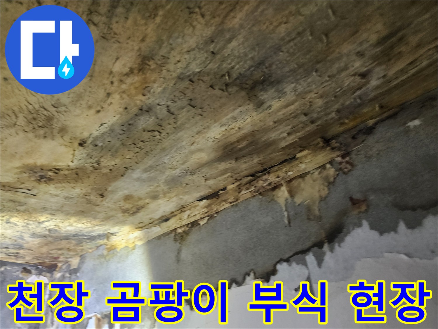 물에-젖어-부식되고-있는-천장-마감재와-벽면의-누수-피해-상황