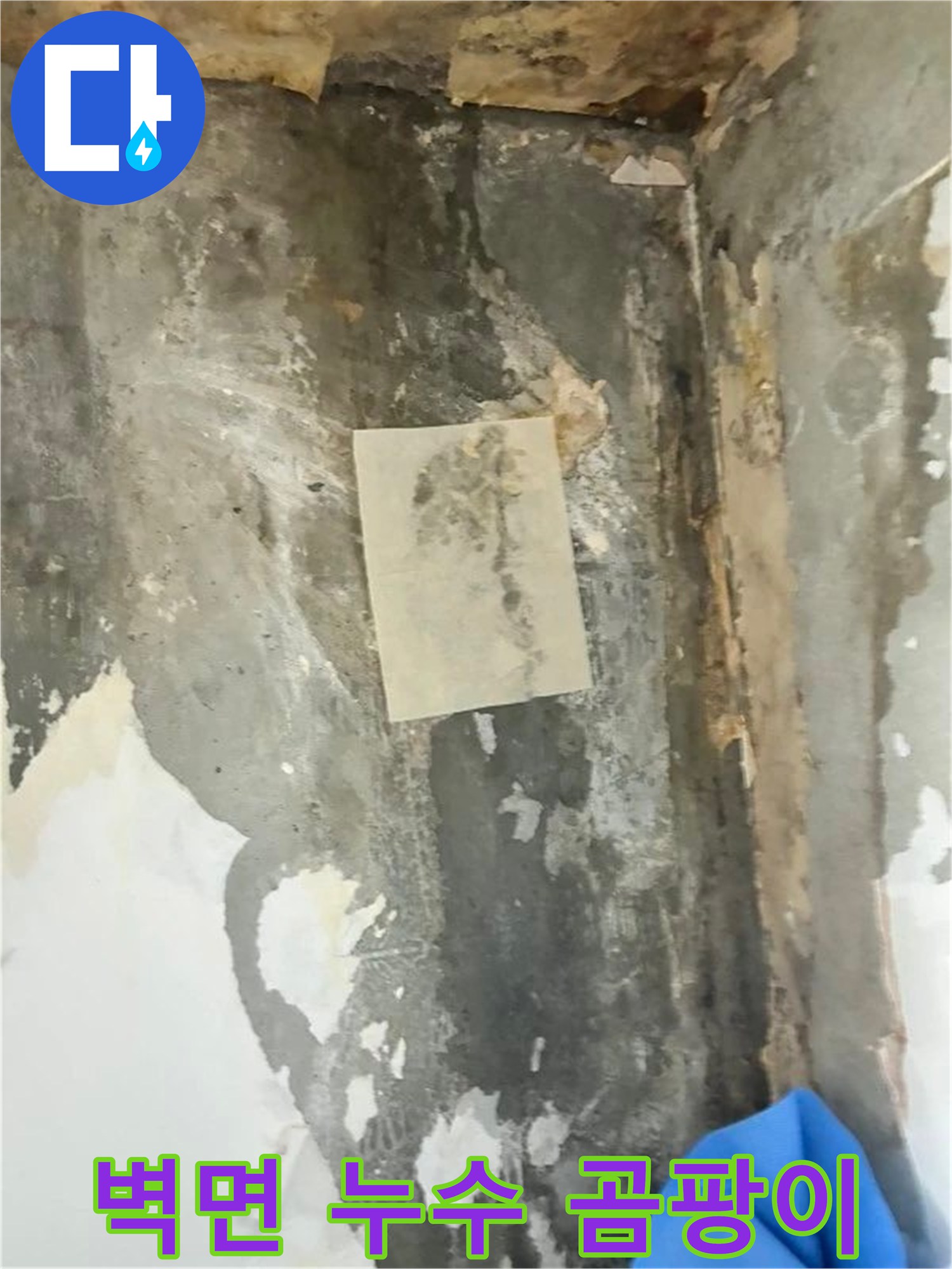 벽면의 물자국과 곰팡이는-누수 문제의 심각성을 보여주는 명확한 증거입니다