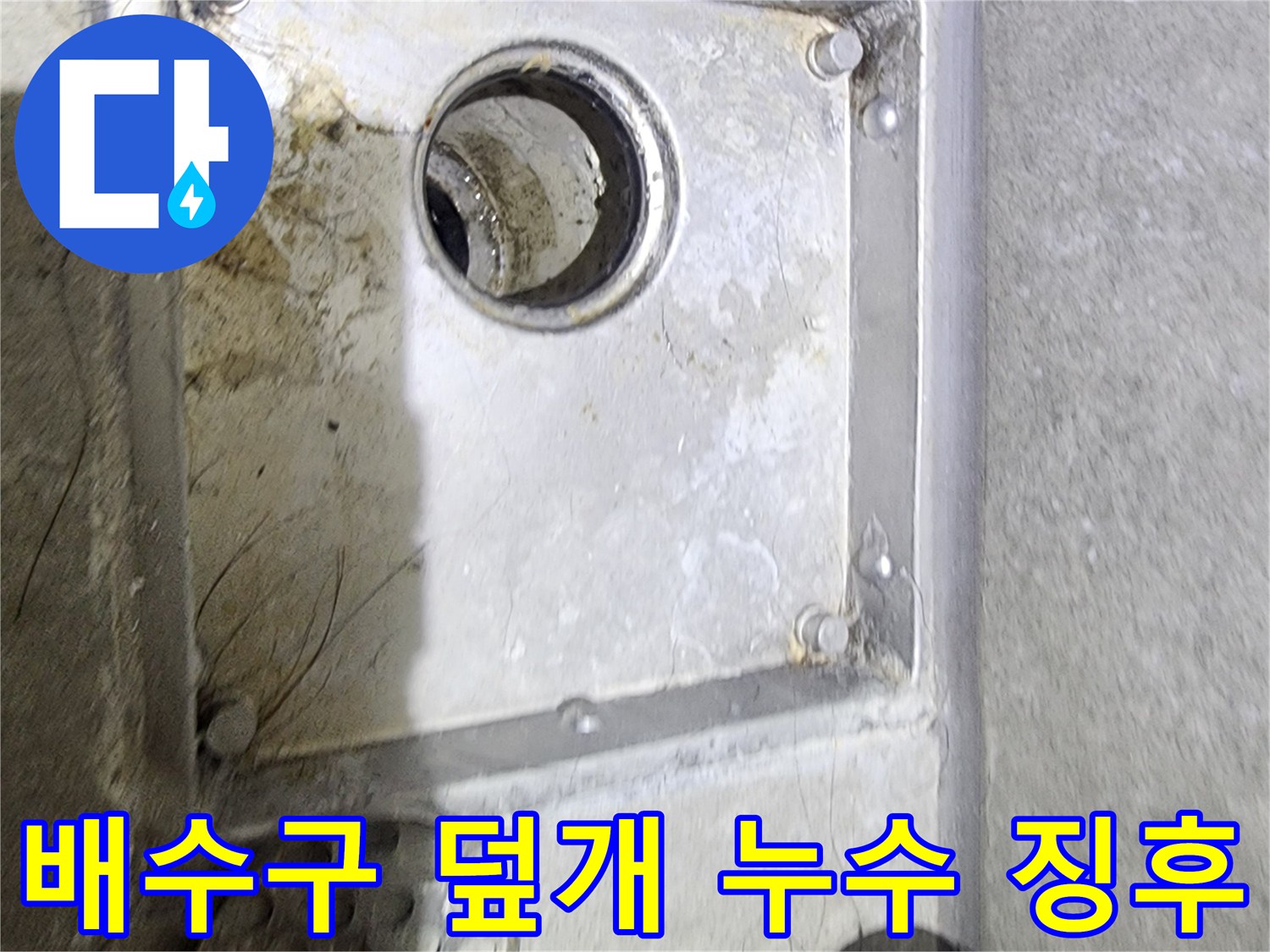 욕실 배수구 덮개 아래에서-발견된 물때와 오염을 통해-누수 발생 여부를-면밀히 확인하는 과정입니다