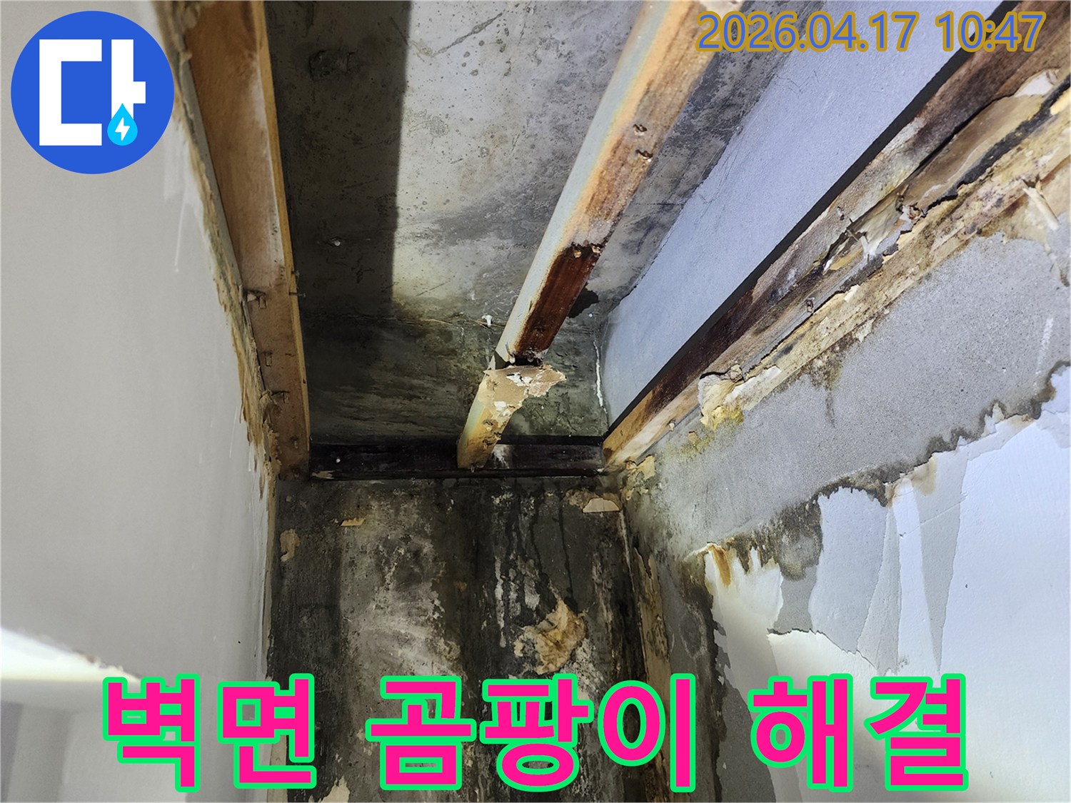 이 사진은-서울 서초구 잠원동에서 진행된-누수공사 현장으로-천장 누수로 인한-심각한 벽면 곰팡이와-목재 손상을 보여줍니다