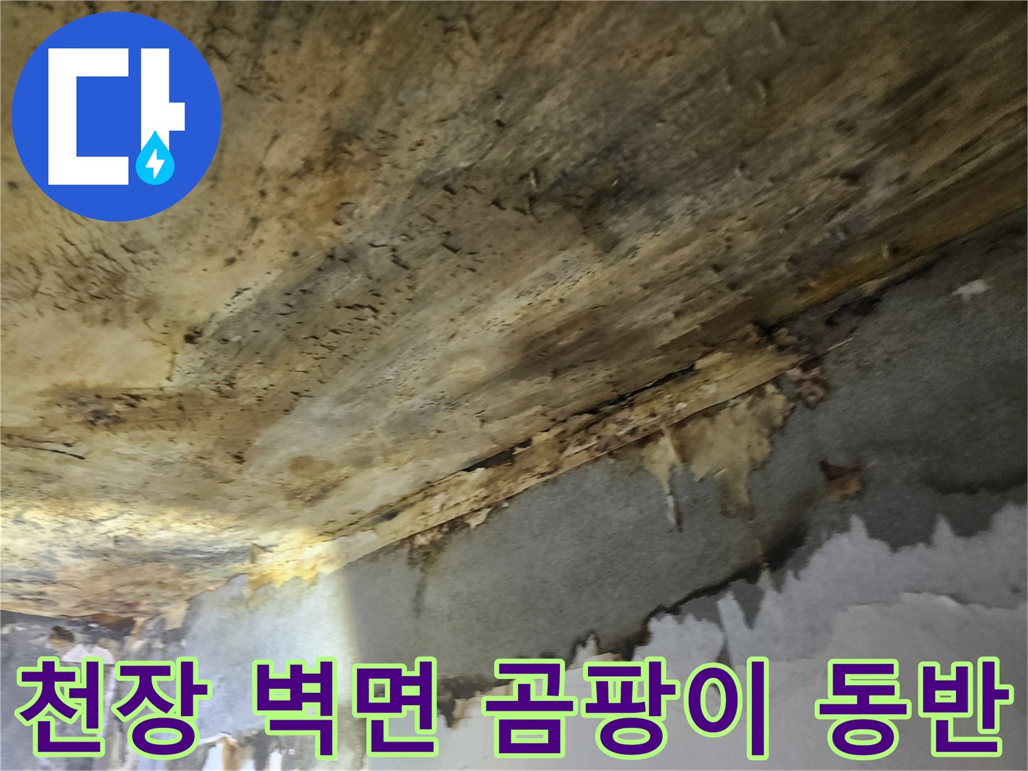천장-누수로-인해-벽면까지-곰팡이가-확산되어-동반-피해가-발생한-상황
