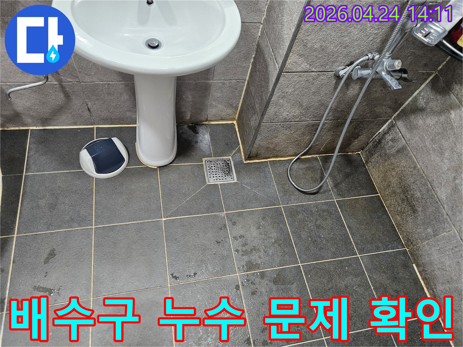 안양 청호아파트 욕실 바닥의-배수구 주변 타일과 줄눈의 상태를-누수 엔지니어가 면밀히 확인하며-배수구 관련 누수 문제를 파악하는 모습