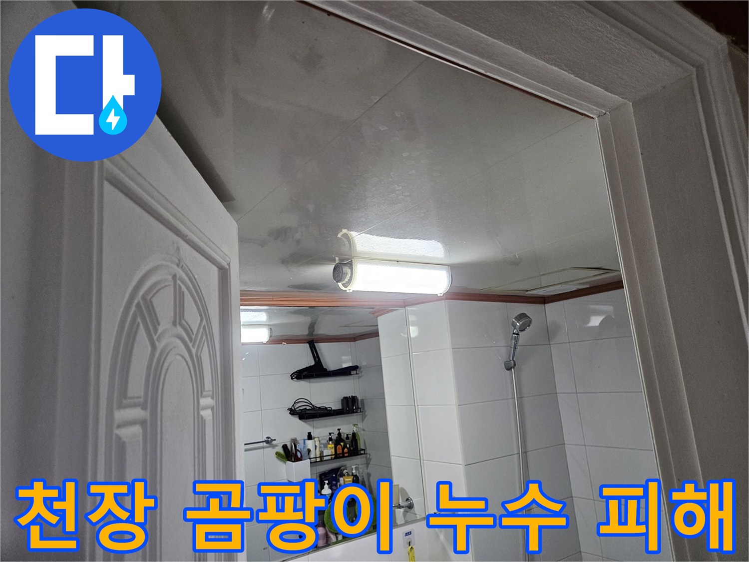 이 이미지는-안양 청호아파트-화장실 천장에-누수로 인해-발생한-심각한 곰팡이와-물자국을-보여줍니다.