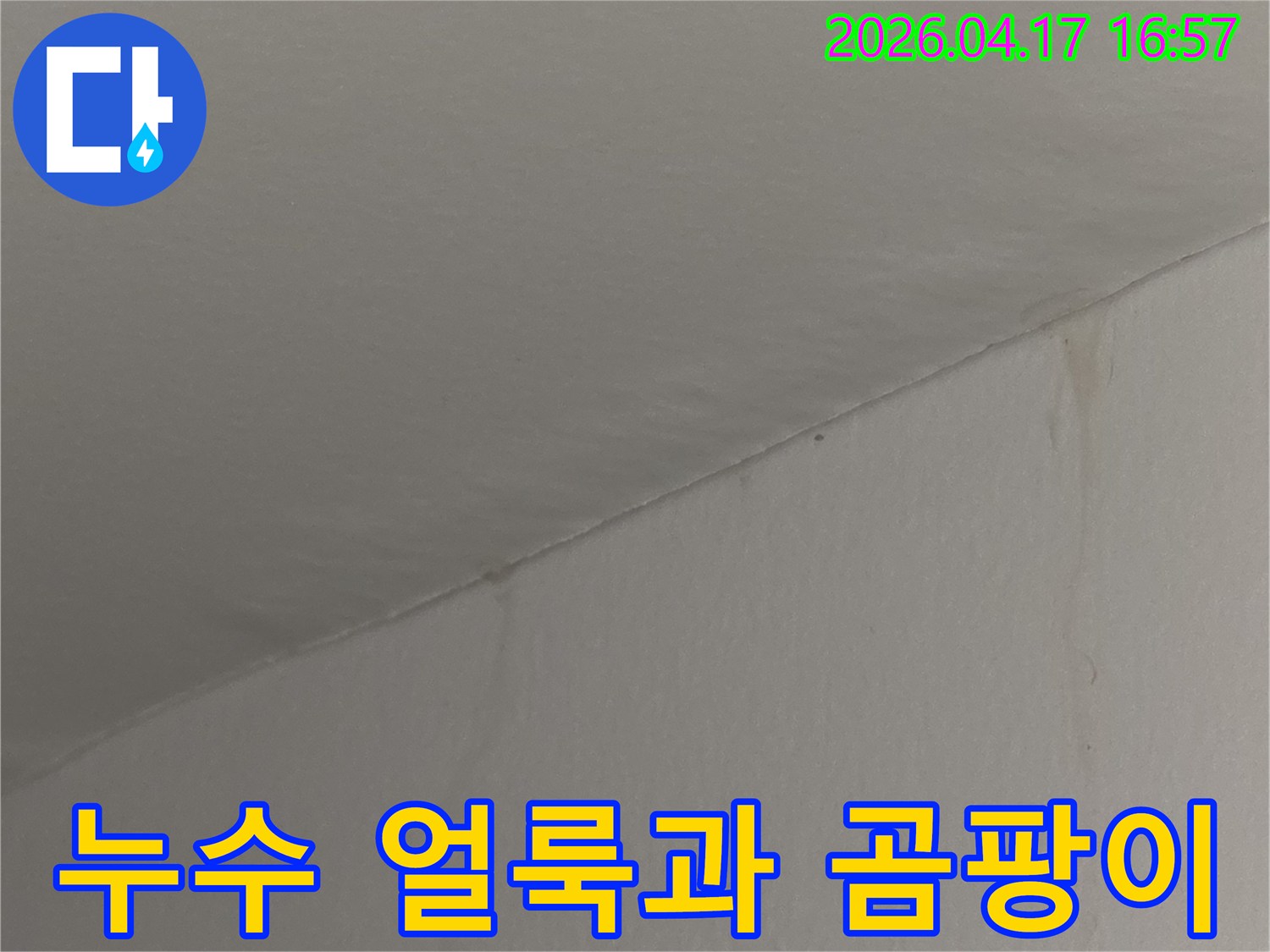 천장과 벽의 모서리에 생긴-누수 얼룩과 함께 곰팡이가 번식하기 시작한 현장 사진입니다