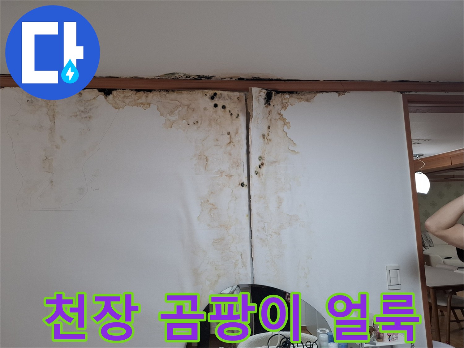 남양주 평내동 아파트 천장 벽지 곰팡이 및 물자국 현황