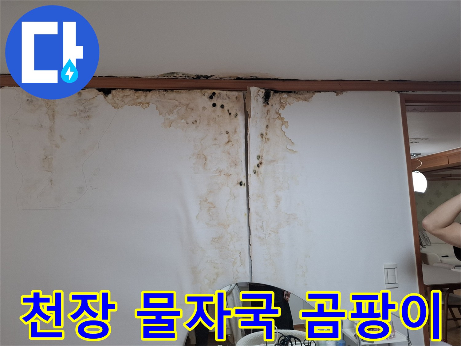 남양주 평내동 아파트 천장 벽지에 나타난 갈색 물자액과 검은 곰팡이 상태