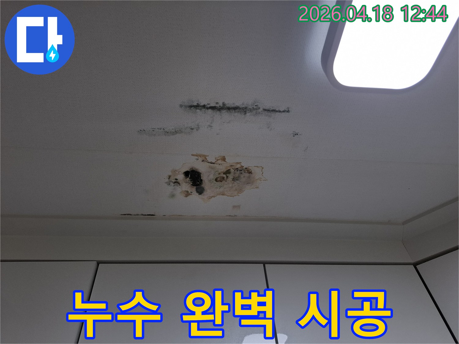 누수로-인해-심하게-손상된-아파트-천장-마감재와-곰팡이-현상-완벽한-시공-필요