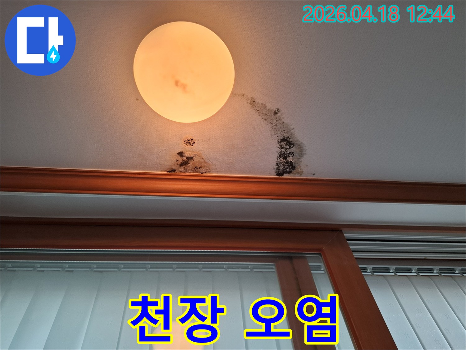 심각한-천장-누수-문제로-인해-곰팡이가-광범위하게-퍼진-현장