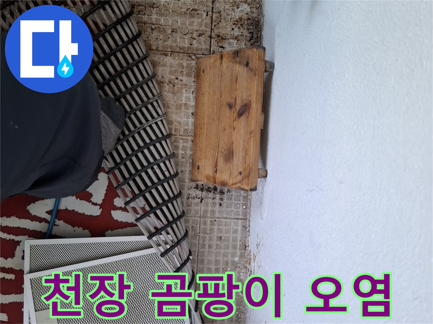 아랫집 천장에 나타난 누수 흔적과 곰팡이 증상