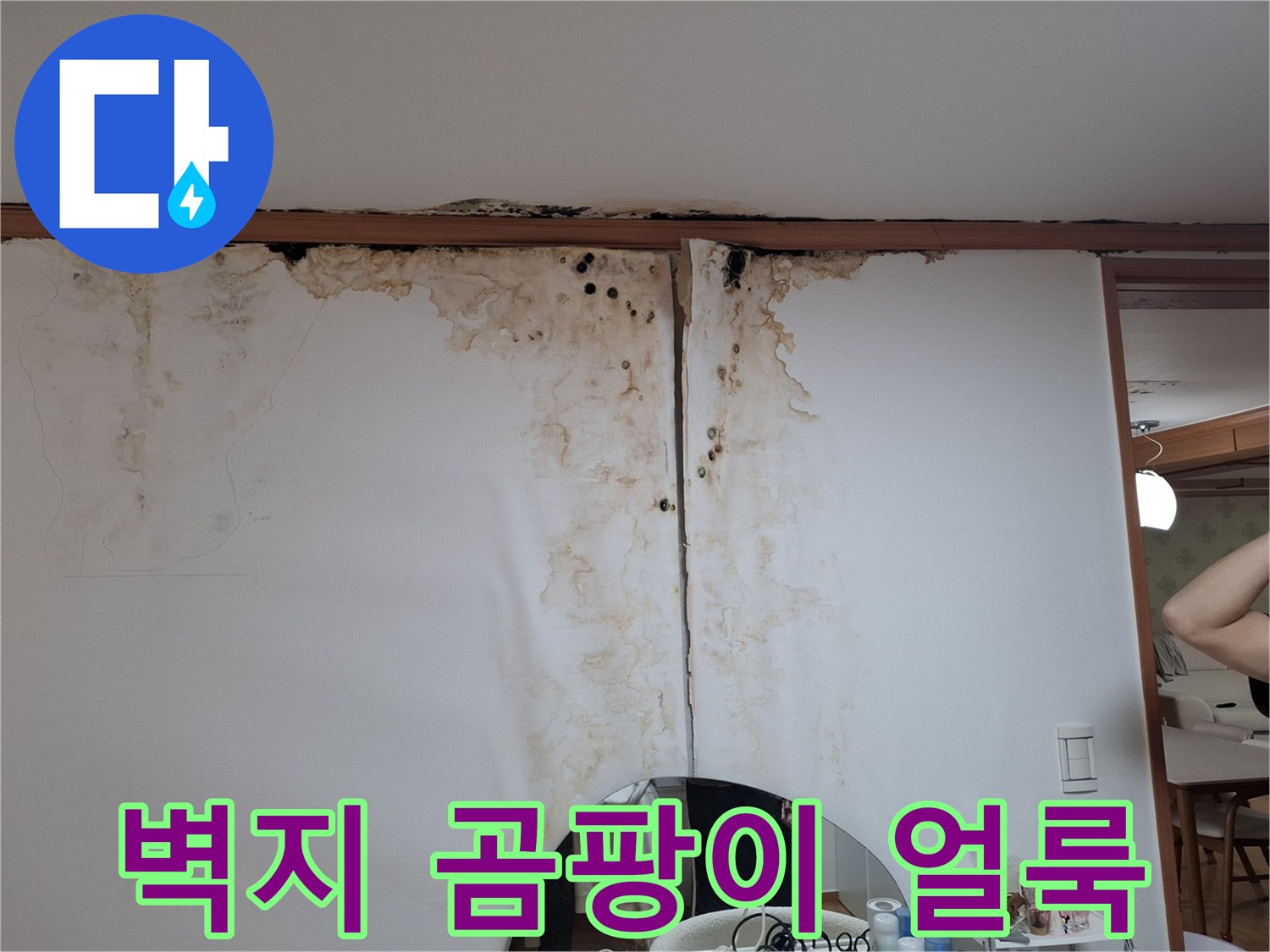 천장 몰딩 아래로 번진 갈색 누수 흔적 및 곰팡이 발생 부위