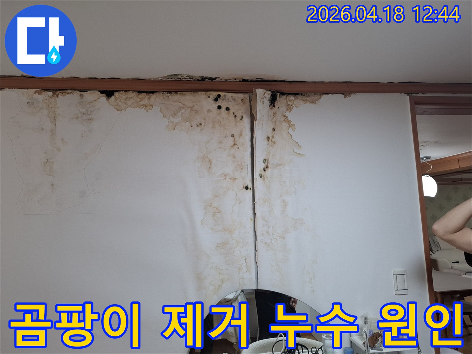 천장-아래-벽지에-발생한-심각한-곰팡이와-누수-흔적을-보여주는-사진입니다.