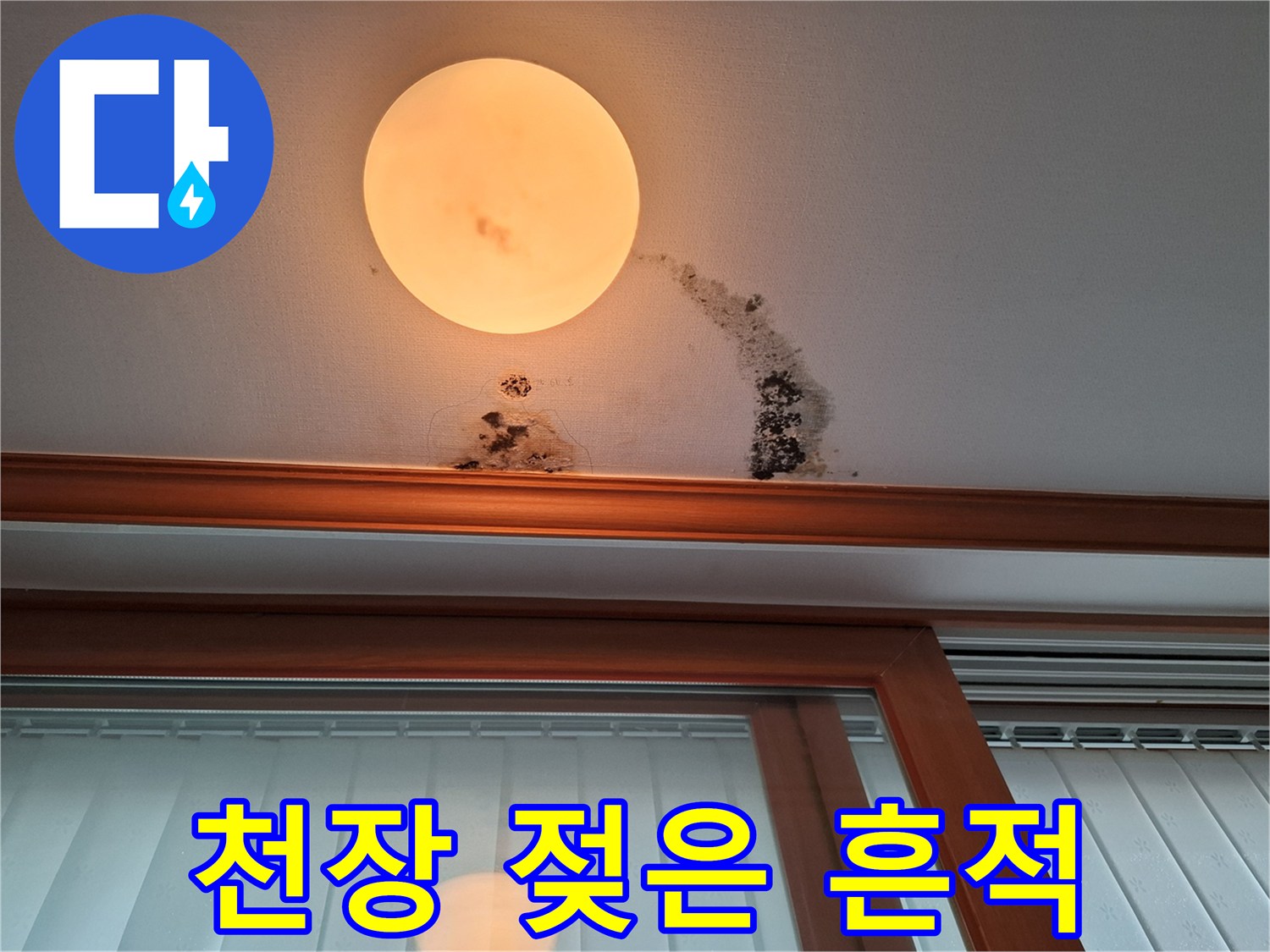 천장 조명 아래쪽으로 번진 갈색 누수 얼룩과 검은 곰팡이
