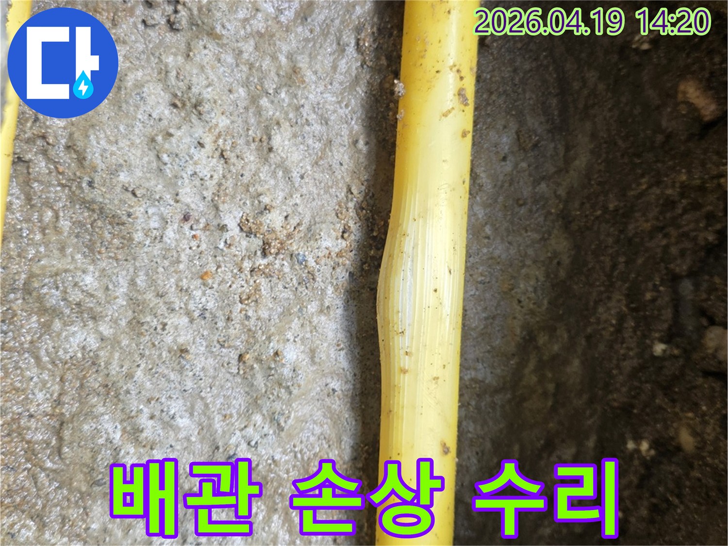 젖은 흙 속에 노출된 노란색 배관의 손상 부위가-긴급 수리가 필요한 누수 지점임을 나타냅니다.